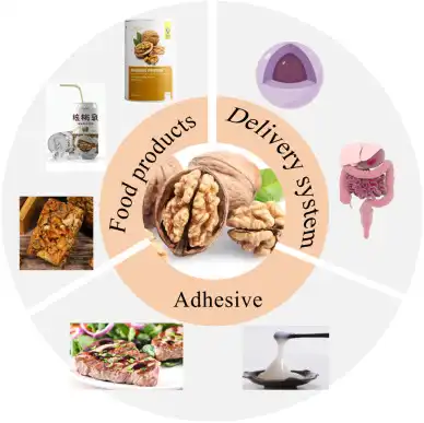 walnut peptide uses walnut peptide uses