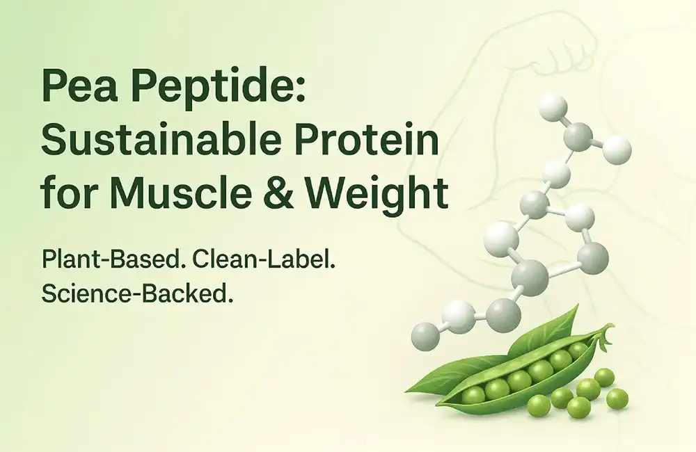 Hydrolyzed Pea Protein Powder Muscle