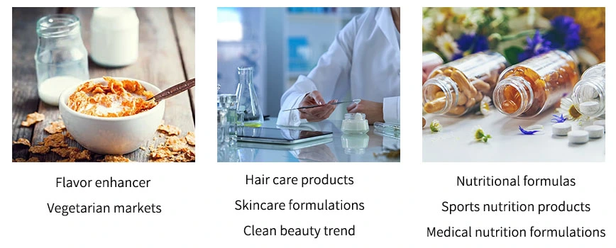 Hydrolyzed Corn Protein application Hydrolyzed Corn Protein application