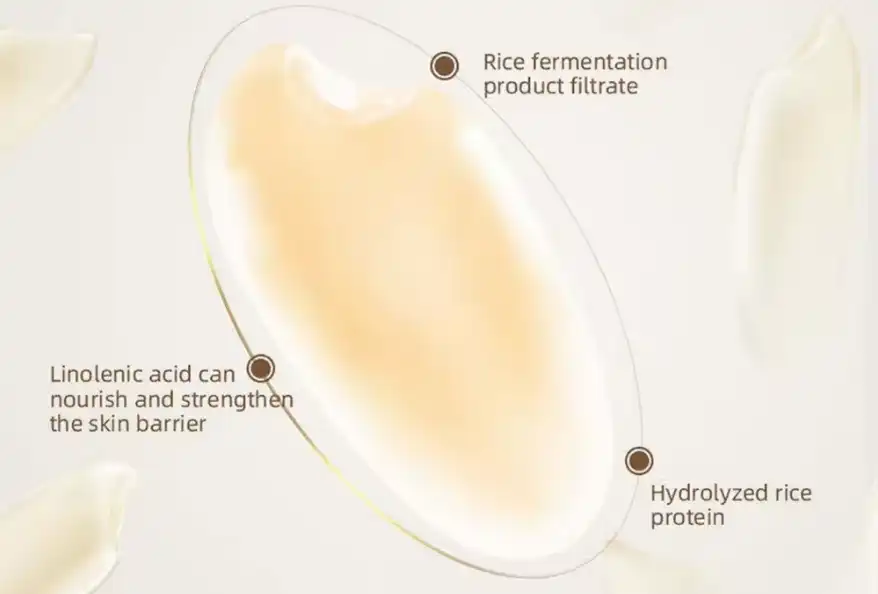 hydrolyzed rice protein skincare hydrolyzed rice protein skincare