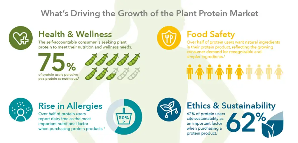 hydrolyzed pea protein pwoder hydrolyzed pea protein pwoder