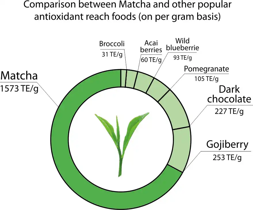 Nutrients in Instant Matcha Powder Nutrients in Instant Matcha Powder