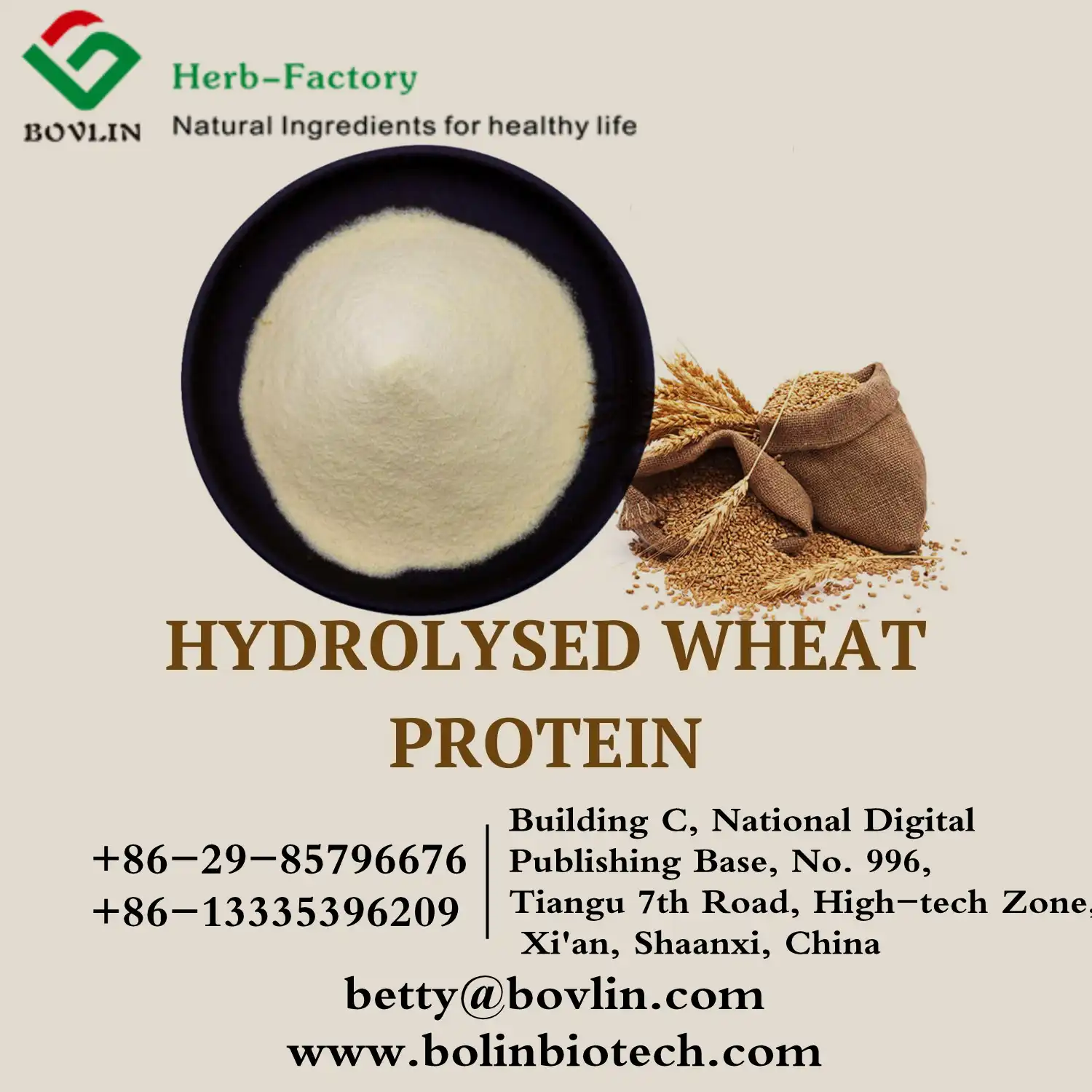 hydrolyzed wheat protein hydrolyzed wheat protein