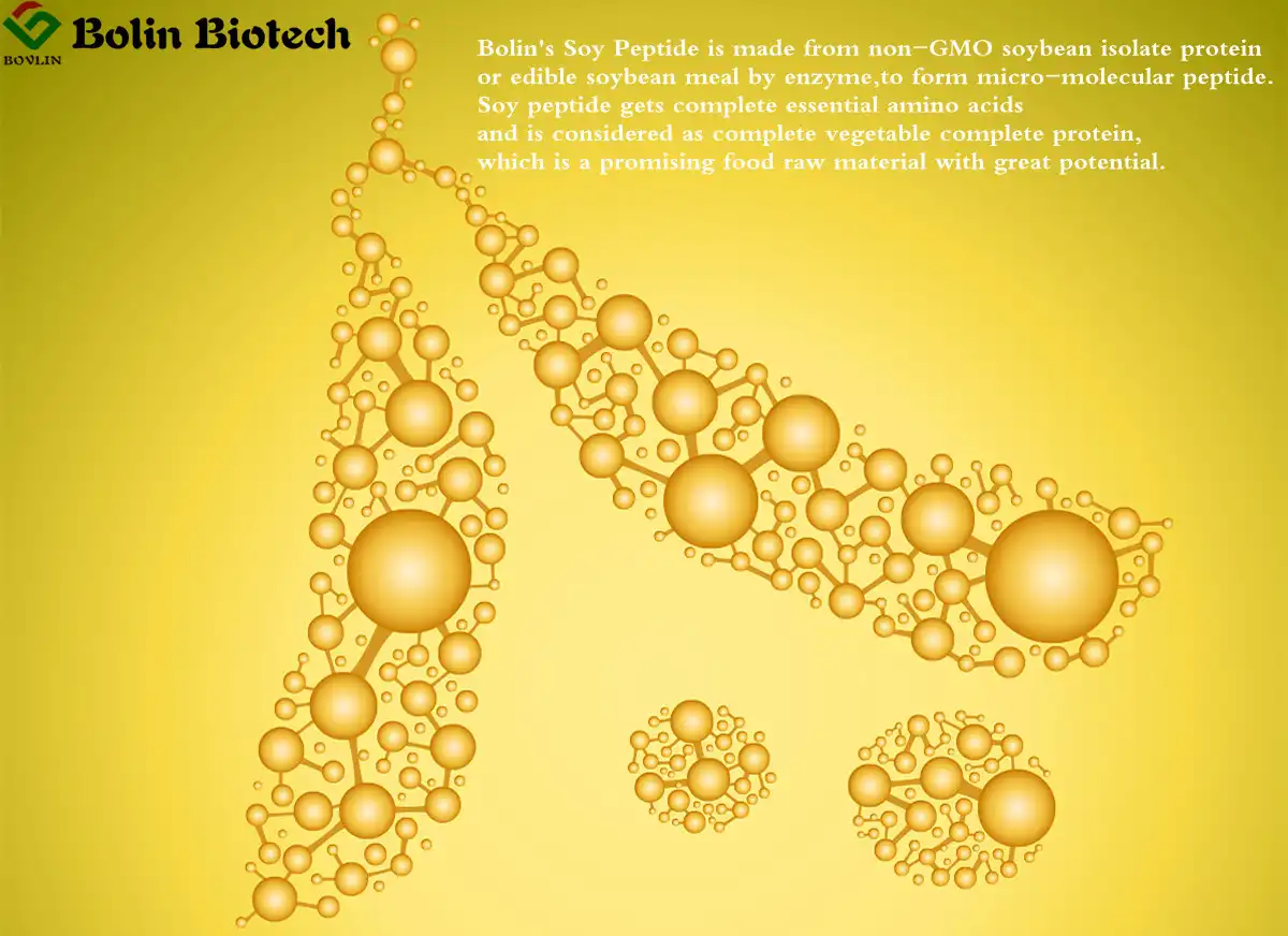 Soybean Peptide Powder Soybean Peptide Powder