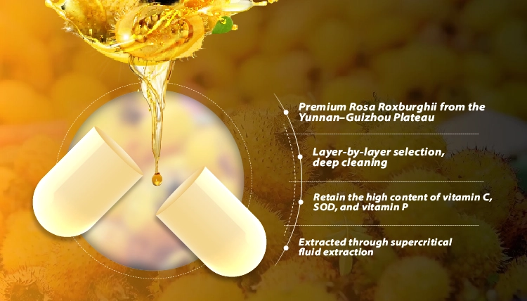 Rosa Roxburghii Extract benefits Rosa Roxburghii Extract benefits