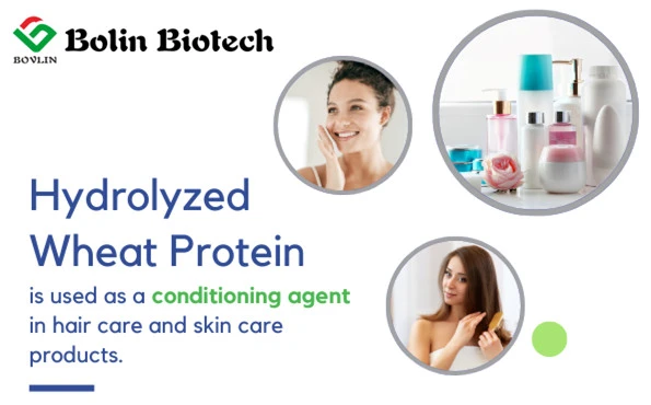 Benefits of Hydrolyzed Wheat Protein On Hair Benefits of Hydrolyzed Wheat Protein On Hair