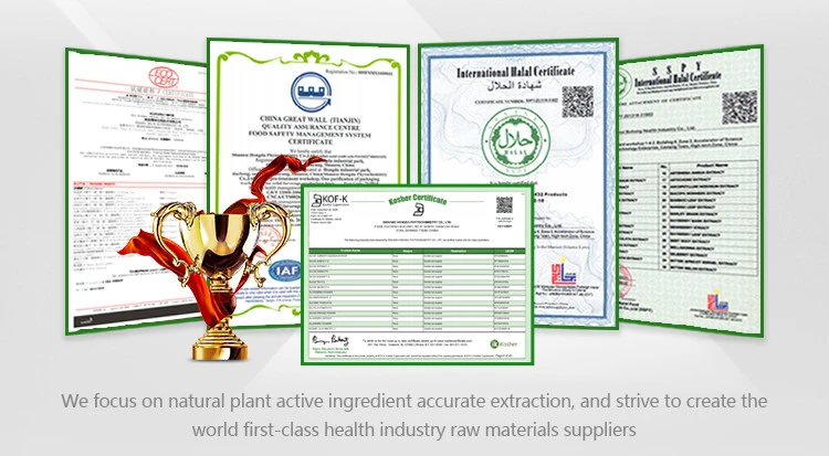 pure L Theanine powder certificates