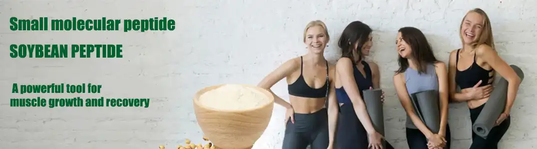 soybean peptide fitness soybean peptide fitness