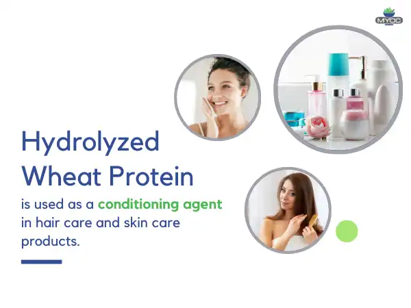 Hydrolyzed Wheat Protein Powder application