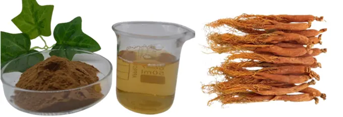 Korean Red Ginseng Extract Powder Korean Red Ginseng Extract Powder