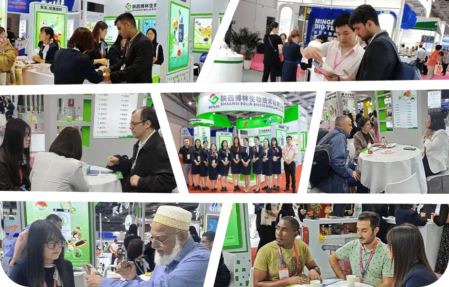 Korean Red Ginseng extract exhibition