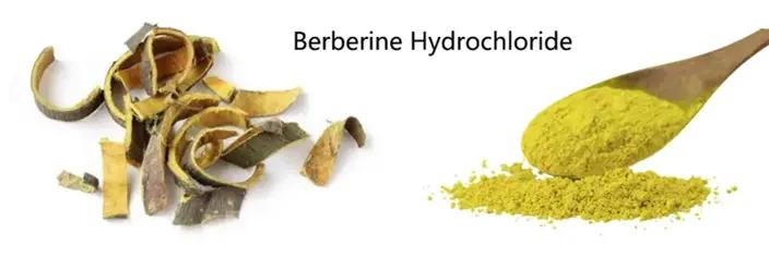 Berberine HCL powder Berberine HCL powder