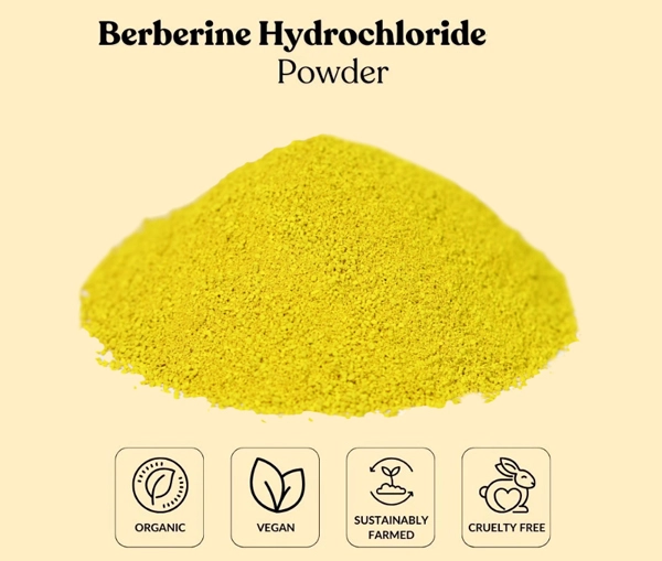 Berberine HCL powder Berberine HCL powder