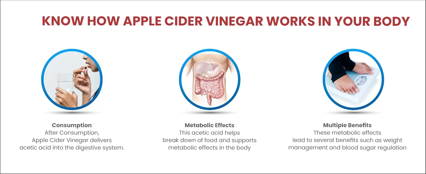 apple cider vinegar powder benefits apple cider vinegar powder benefits