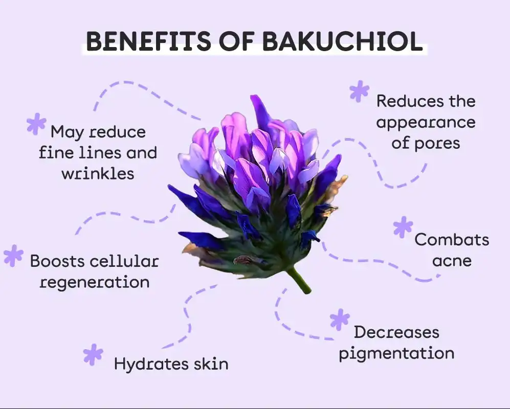 bakuchiol benefits bakuchiol benefits