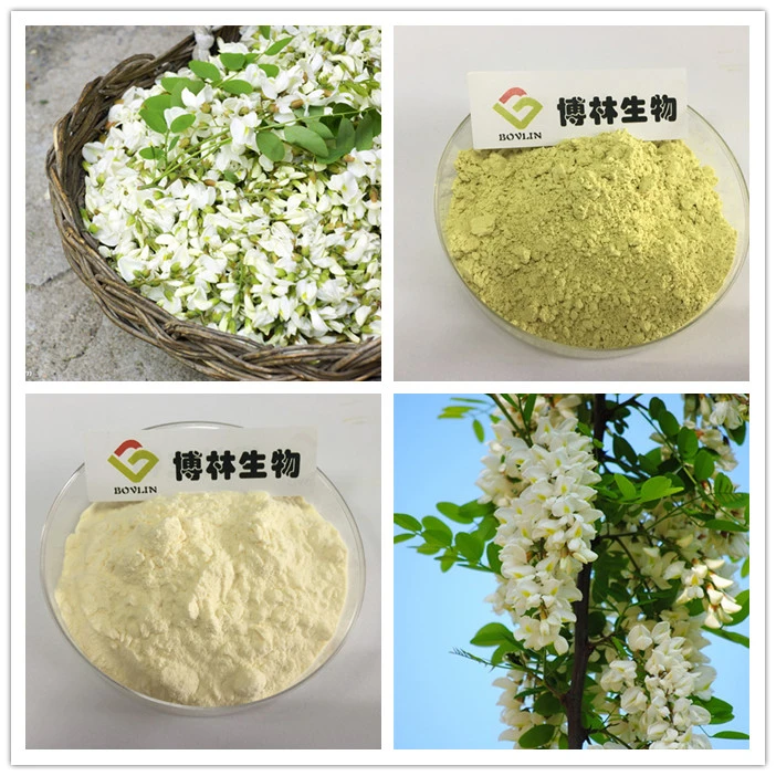 pure rutin powder