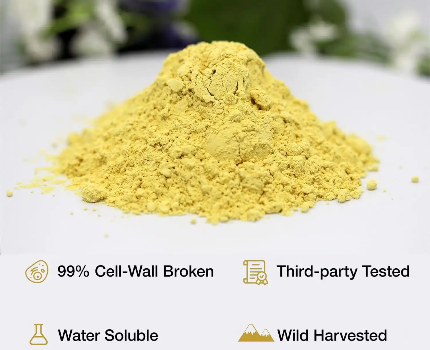 pine pollen powder pine pollen powder