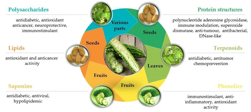 bitter melon peptide compounds bitter melon peptide compounds