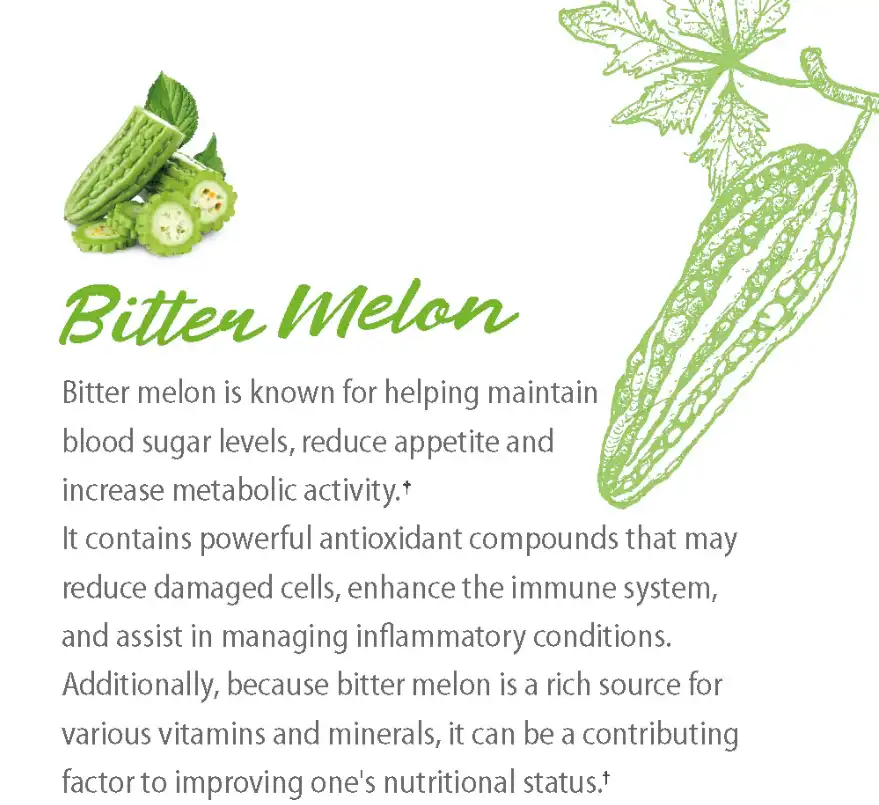 bitter melon peptide Antioxidant bitter melon peptide Antioxidant