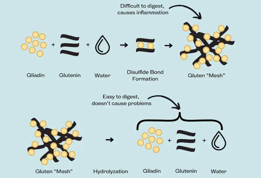 hydrolyzed wheat protein advantages hydrolyzed wheat protein advantages
