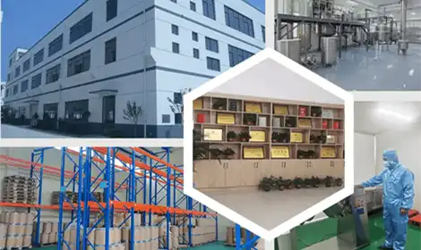 why choose bolin why choose bolin