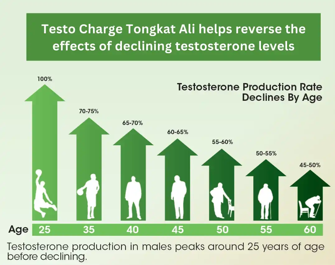 Tongkat Ali Extract Powder for men Tongkat Ali Extract Powder for men