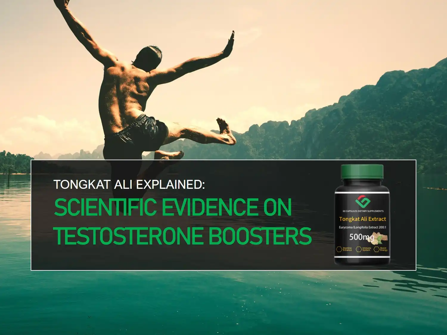 tongkat ali extract powder Testosterone tongkat ali extract powder Testosterone