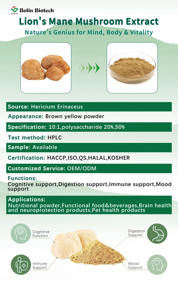 lion's mane mushroom extract