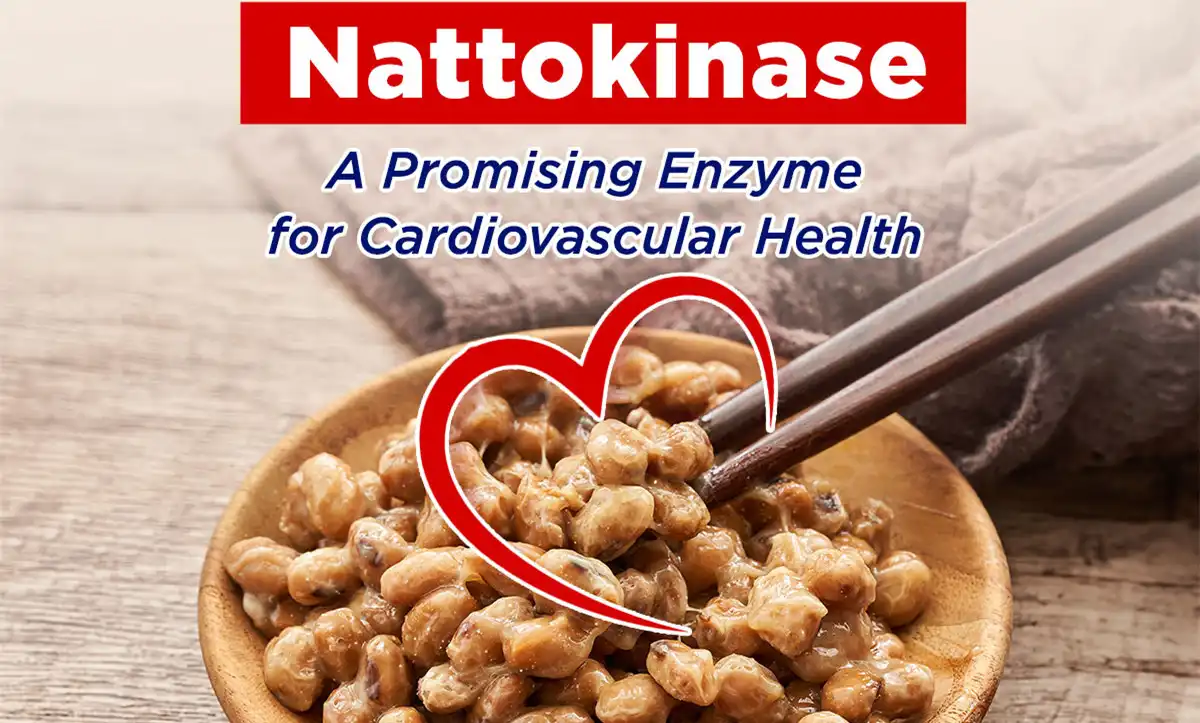 Natto Nattokinase for Cardiovascular