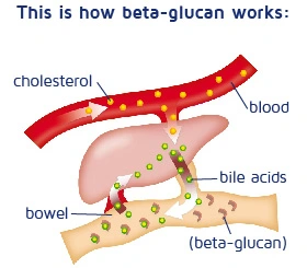 how yeast beta glucan works how yeast beta glucan works