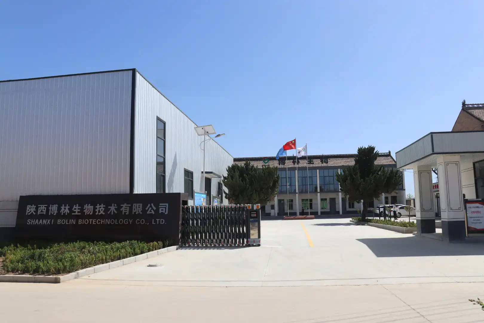 plant extract supplier