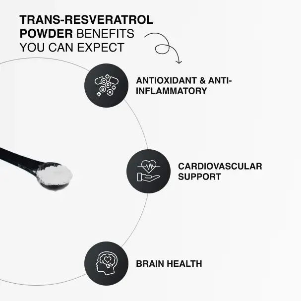 Resveratrol Powder benefits Resveratrol Powder benefits