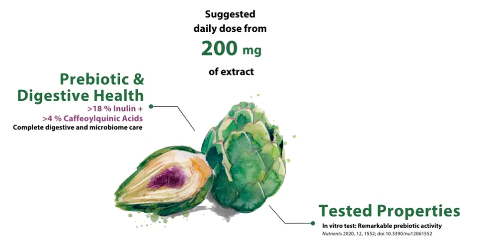 Artichoke Extract powder Artichoke Extract powder