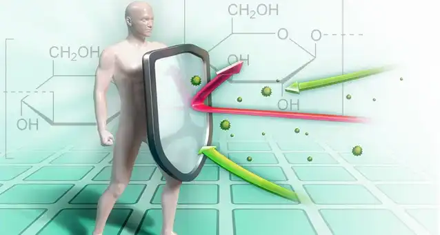 yeast beta glucan benefits yeast beta glucan benefits