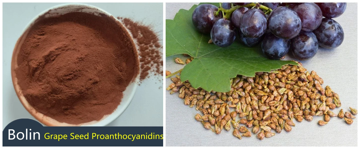 grape seed Proanthocyanidins grape seed Proanthocyanidins