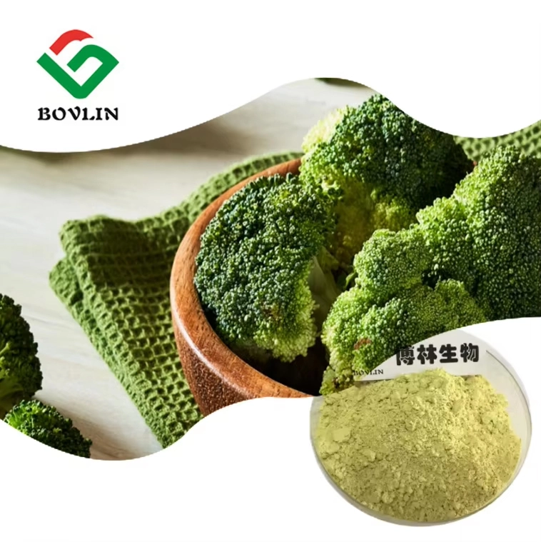 Broccoli Extract Sulforaphane Broccoli Extract Sulforaphane