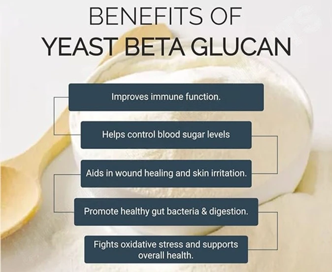 yeast beta glucan benefits
