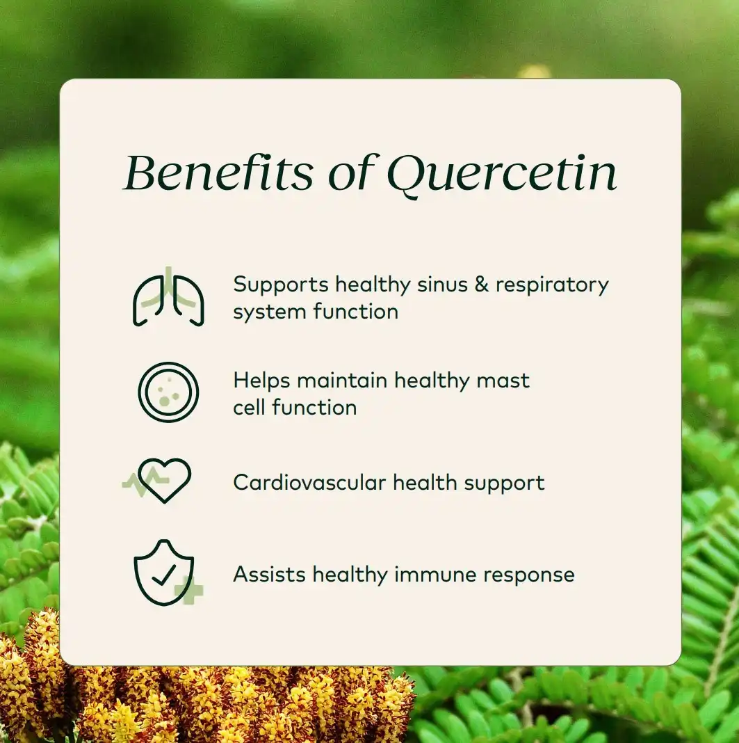 Quercetin powder benefits
