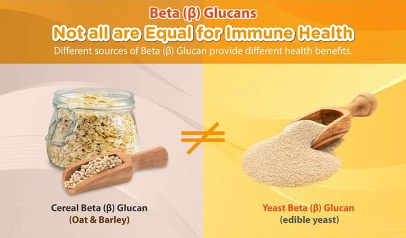 Yeast Beta Glucan vs Oat Beta Glucan Yeast Beta Glucan vs Oat Beta Glucan