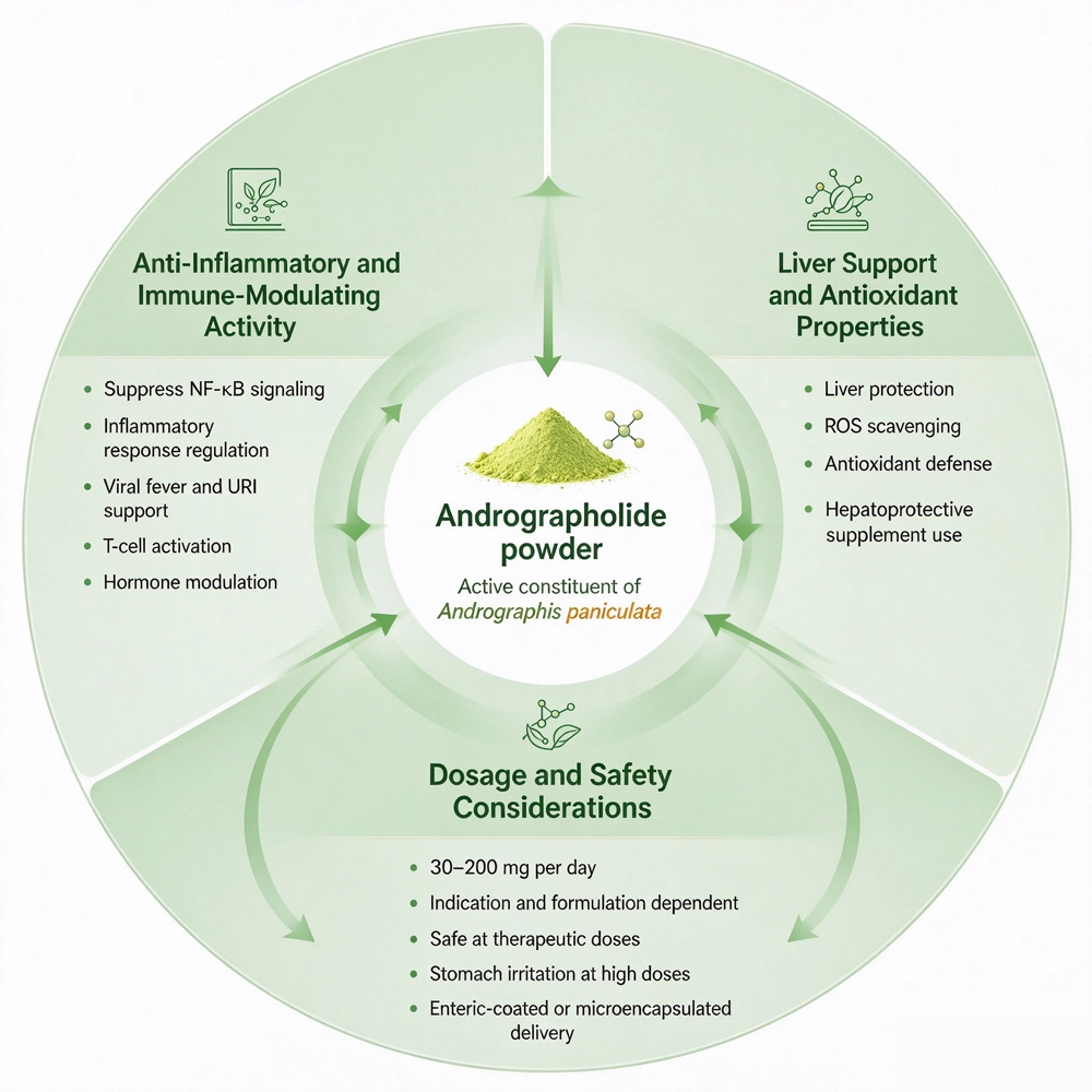 Andrographolide powder function