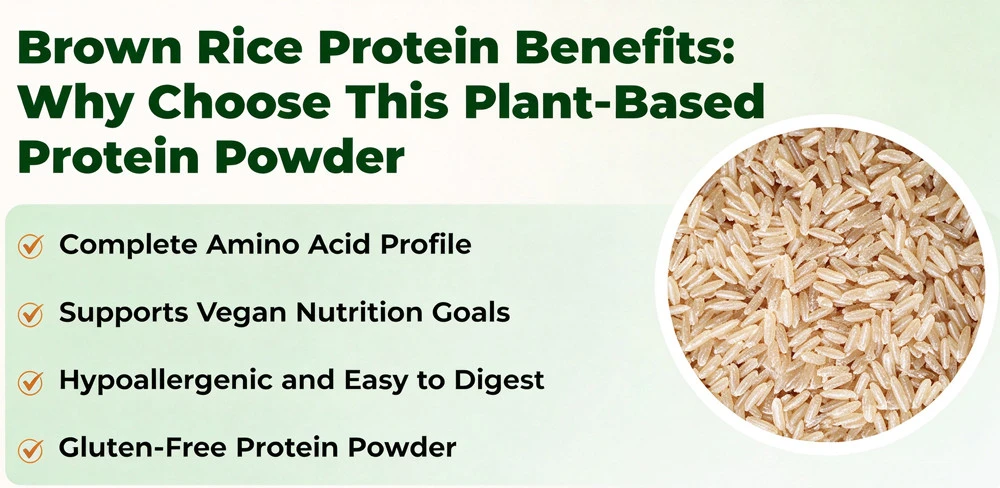 brown rice protein powder brown rice protein powder