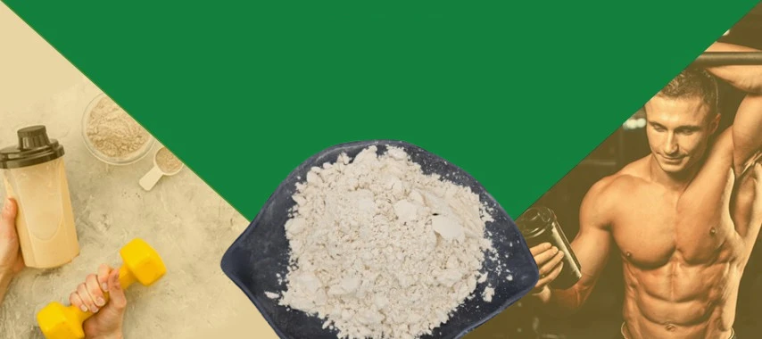 bulk brown rice protein powder supplier bulk brown rice protein powder supplier