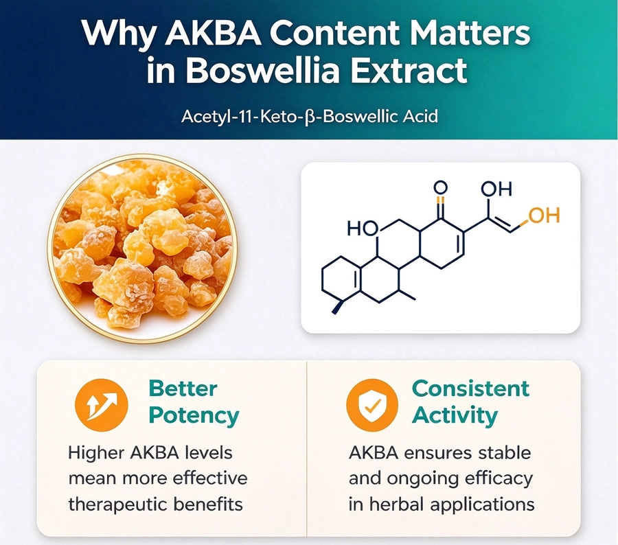 AKBA in Boswellia Serrata Extract features AKBA in Boswellia Serrata Extract features