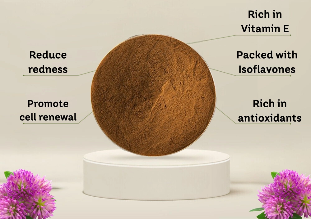 red clover extract powder skin benefits