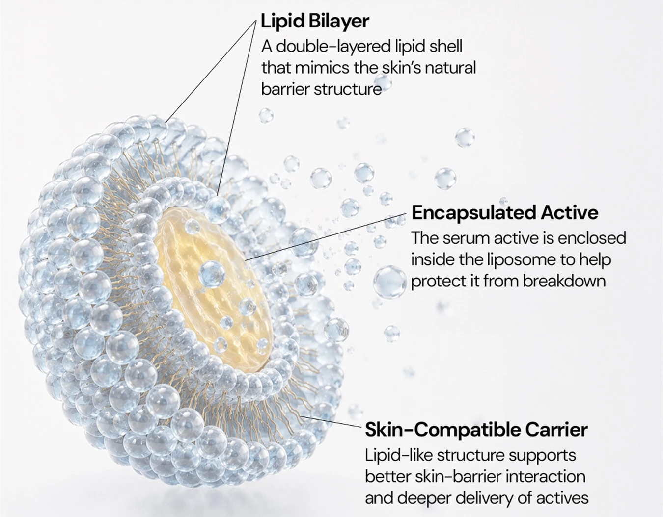 Liposomal Apigenin delivery technology Liposomal Apigenin delivery technology