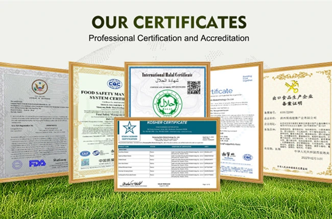 Red Clover Extract Powder certificate