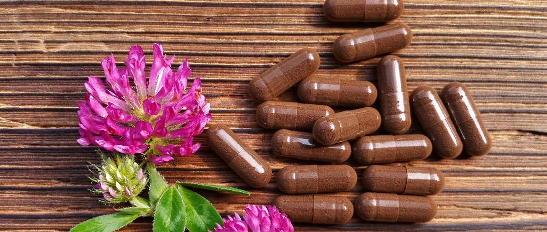 red clover extract powder for supplement