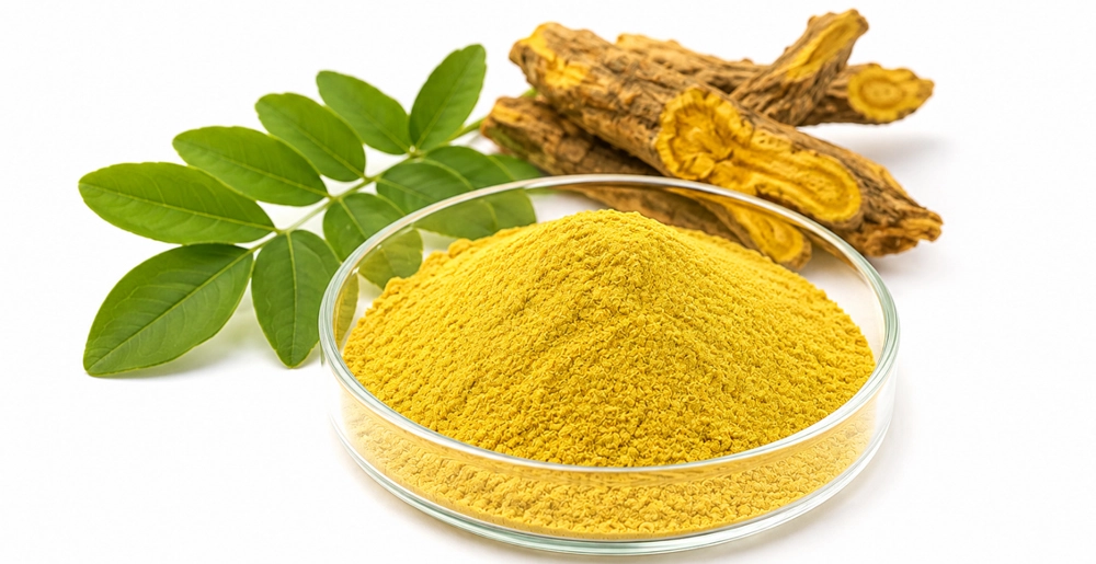 berberine hcl powder berberine hcl powder