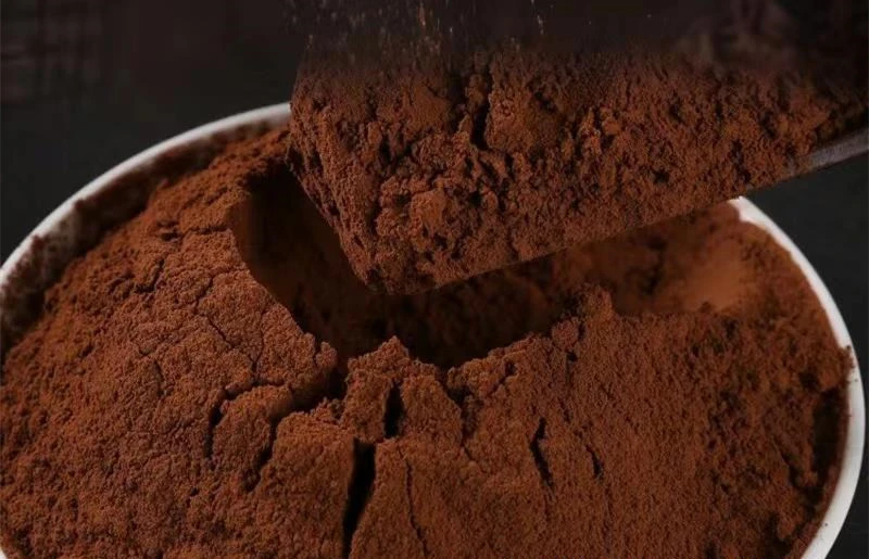 raw cocoa powder