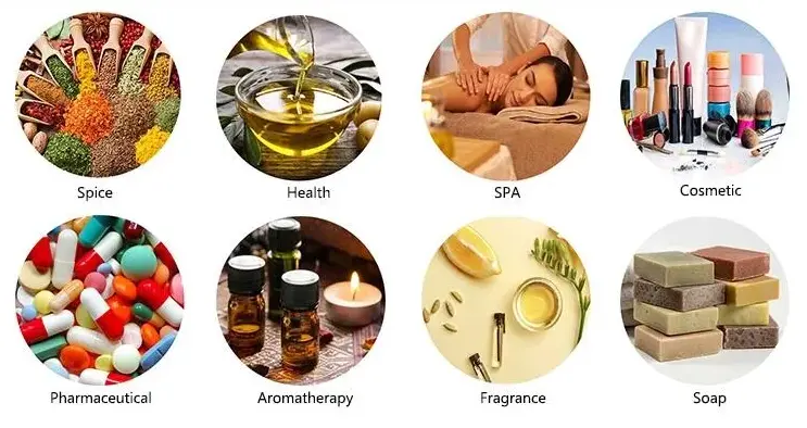 Best menthol application Best menthol application